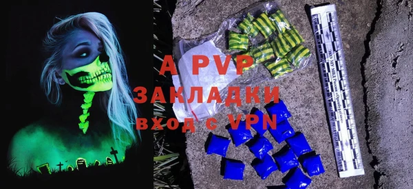 ПСИЛОЦИБИНОВЫЕ ГРИБЫ Новозыбков