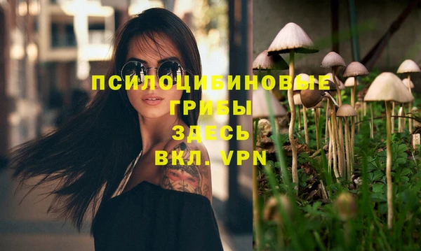 jwh Нязепетровск