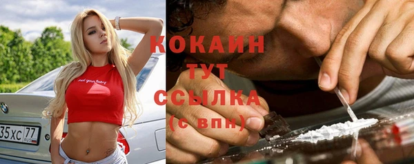 ПСИЛОЦИБИНОВЫЕ ГРИБЫ Новозыбков